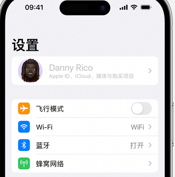 九湖镇appleID维修服务iPhone设置中Apple ID显示为灰色无法使用 