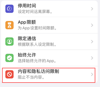 九湖镇appleID维修服务iPhone设置中Apple ID显示为灰色无法使用