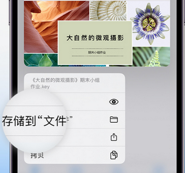 九湖镇apple维修中心分享iPhone文件应用中存储和找到下载文件