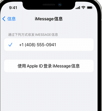 九湖镇apple维修iPhone上无法正常发送iMessage信息