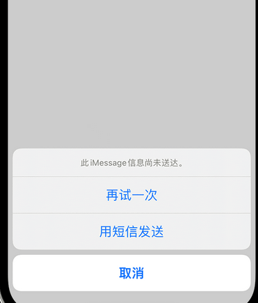 九湖镇apple维修iPhone上无法正常发送iMessage信息