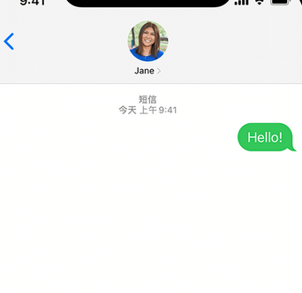 九湖镇apple维修iPhone上无法正常发送iMessage信息