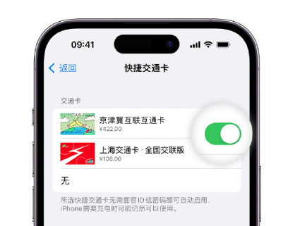 九湖镇apple维修点分享iPhone上更换Apple Pay快捷交通卡手绘卡面 