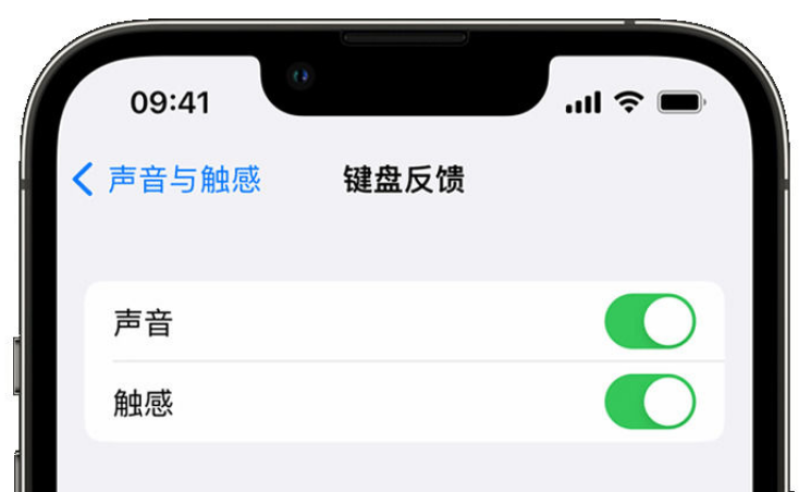 九湖镇苹果手机维修分享iPhone 14触感键盘使用方法 