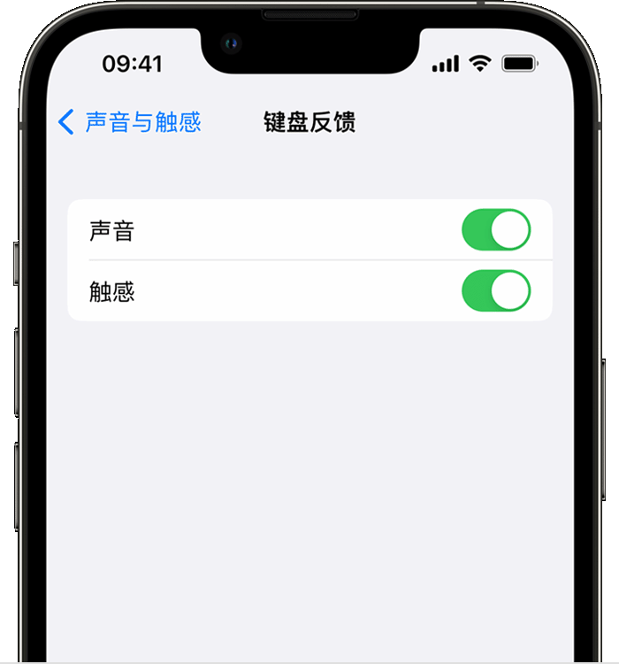 九湖镇苹果14维修店分享如何在 iPhone 14 机型中使用触感键盘 