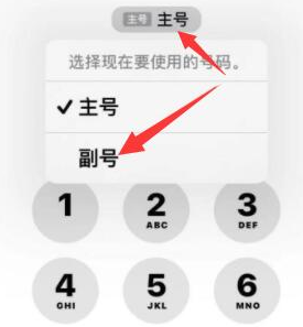 九湖镇苹果14维修店分享iPhone 14 Pro Max使用副卡打电话的方法 