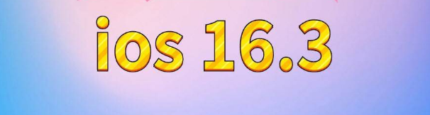 九湖镇苹果服务网点分享苹果iOS16.3升级反馈汇总 