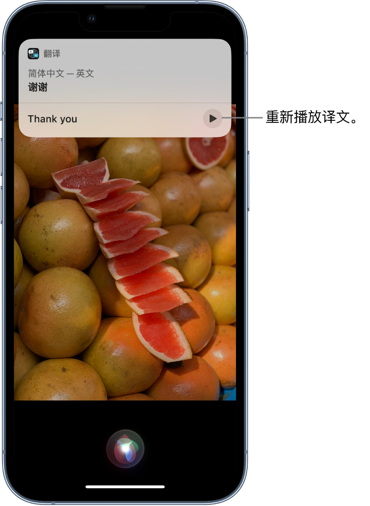 九湖镇苹果14维修分享 iPhone 14 机型中使用 Siri：了解 Siri 能帮你做什么 