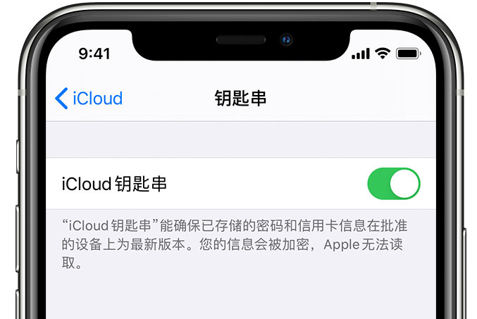 九湖镇苹果手机维修分享在 iPhone 上开启 iCloud 钥匙串之后会储存哪些信息 