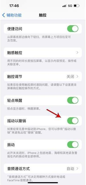 九湖镇苹果手机维修分享iPhone手机如何设置摇一摇删除文字 